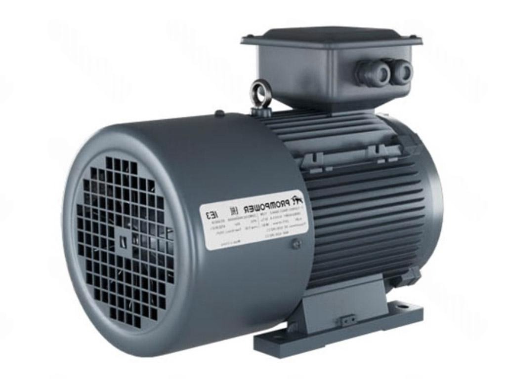 Электродвигатель 1LE9303-0EC42-1FA4 PROMPOWER