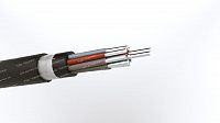 Кабель АКПсВГЭ 10х10